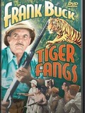 Tiger Fangs