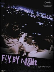 Fly by night