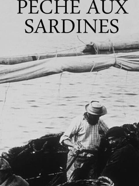 Pêche aux sardines