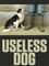 Useless Dog