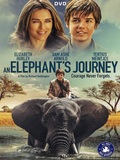 An elephant's journey