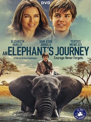 An elephant's journey