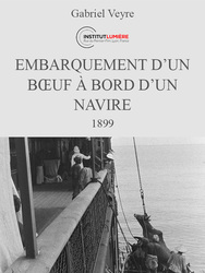 Embarquement d'un bœuf à bord d'un navire