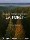France Terres Sauvages - La Forêt