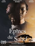 Épines du Sahel